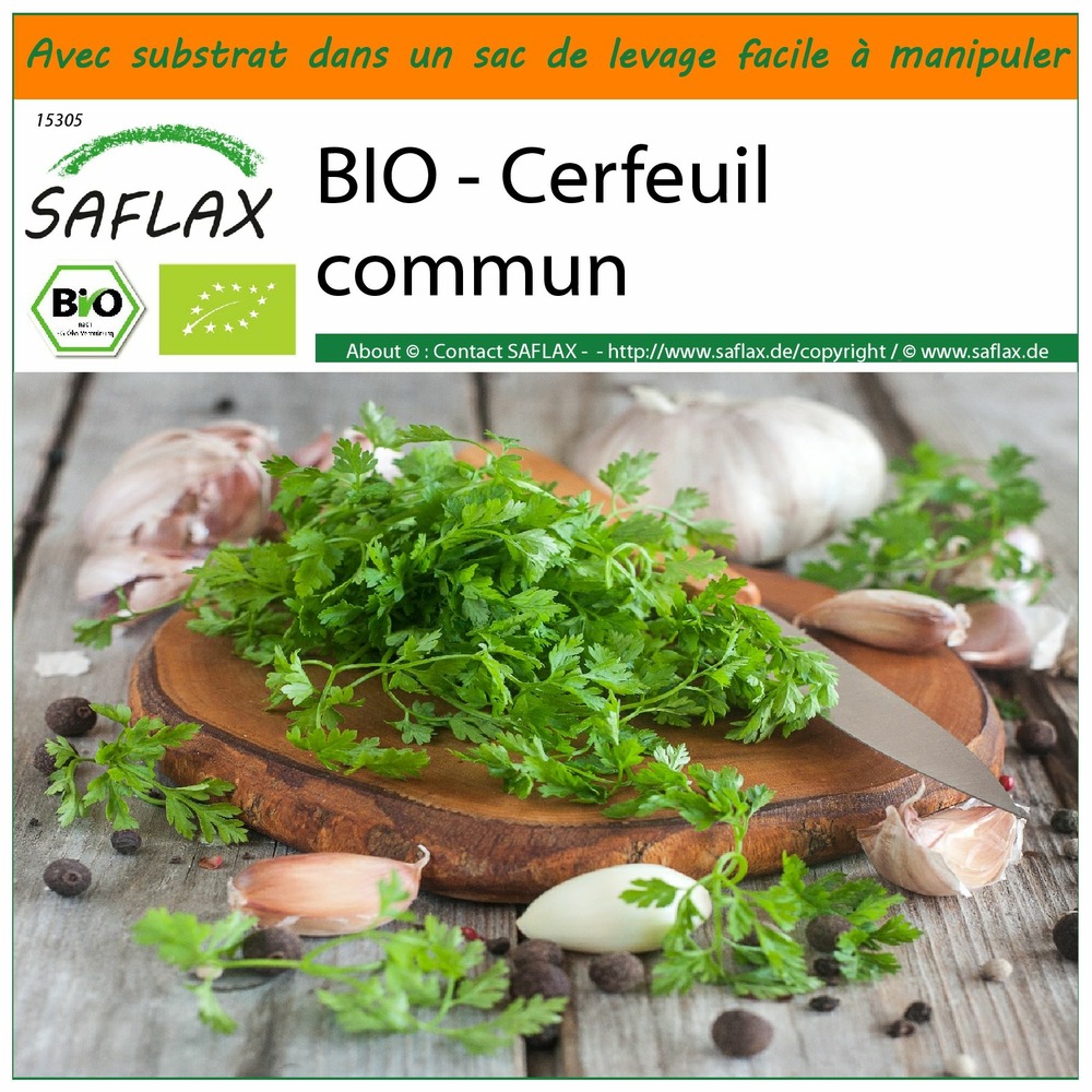 Garden in the bag - bio - cerfeuil commun - 800 graines - anthriscus cerefolium