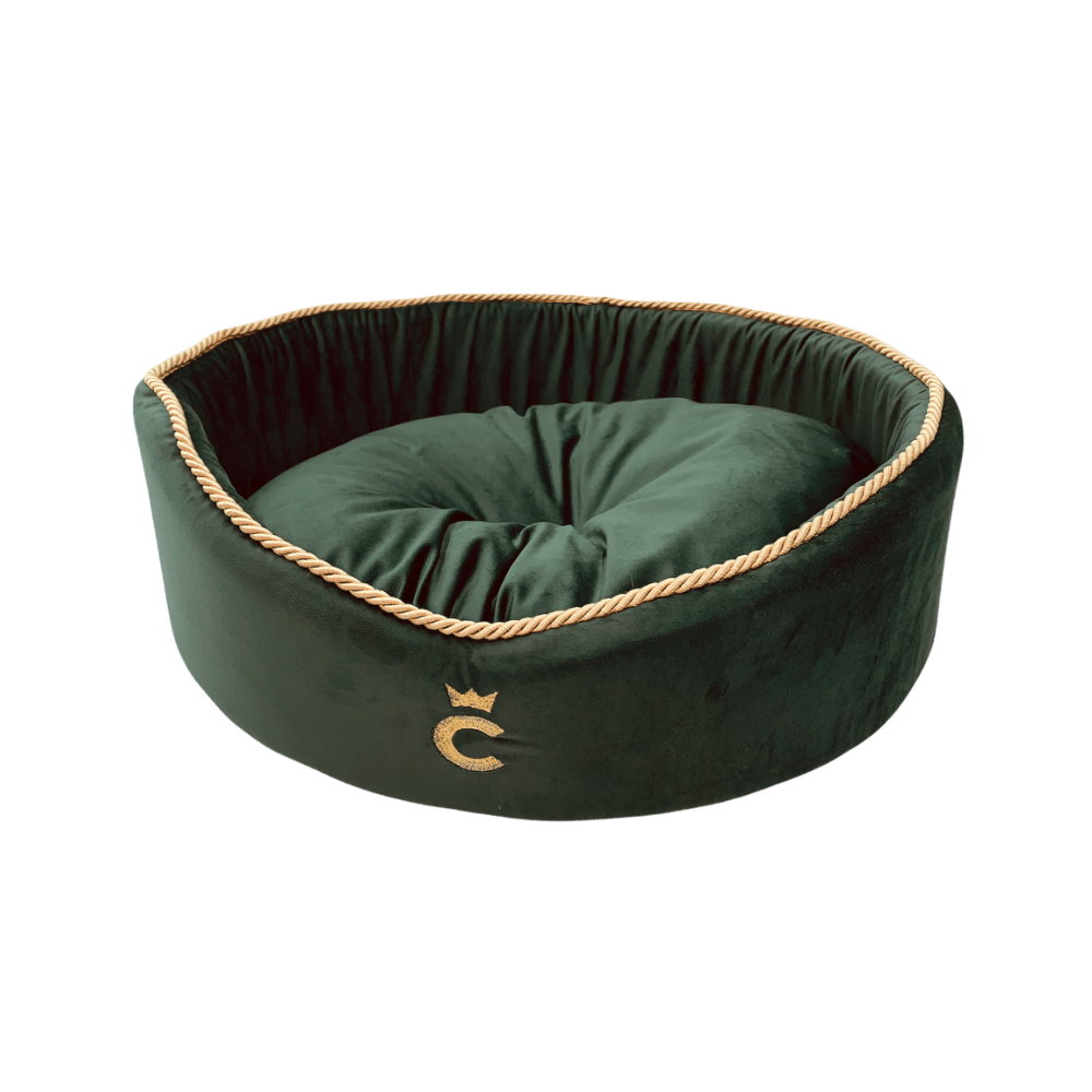Panier Plastique Pour Chien MODERNA Vert Olive Taille S - 98% Recyclé & Sans BPA