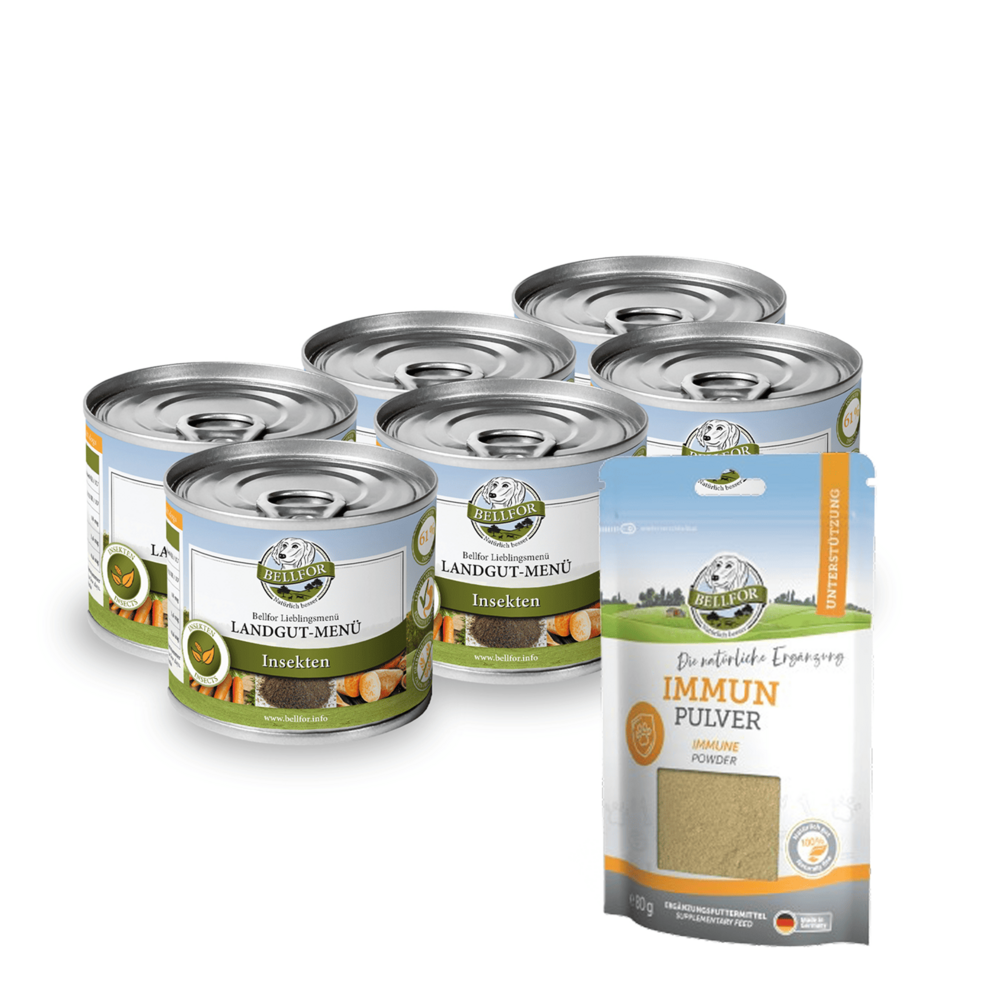 Kit d'alimentation pour petits chiens pour renforcer leurs défenses immunitaires