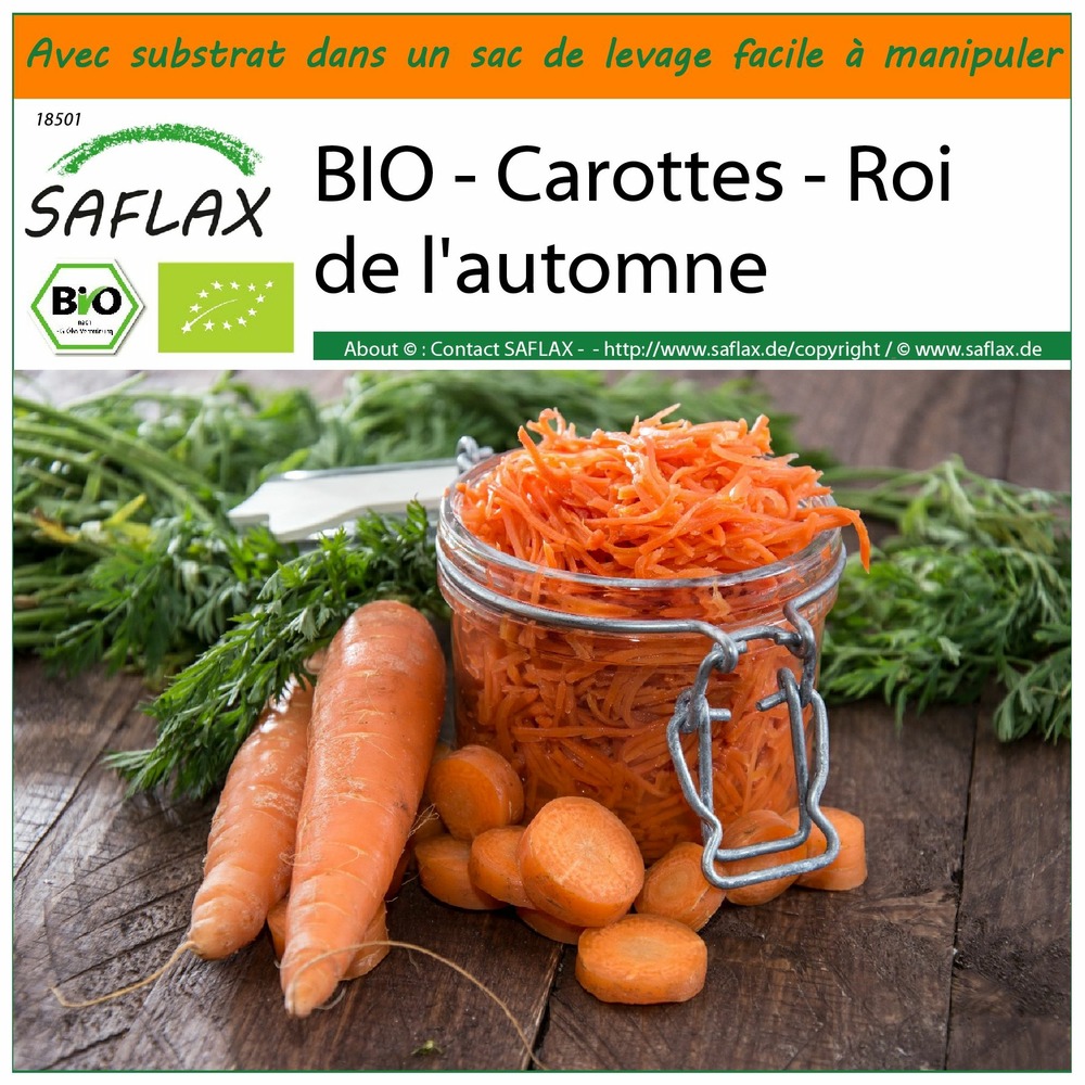 Garden in the bag - bio - carottes - roi de l'automne - 1000 graines - daucus carota subsp. Sativus