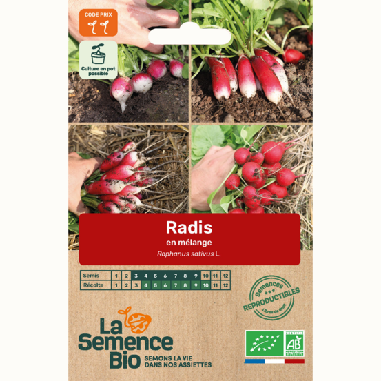 Radis en mélange - graines bio