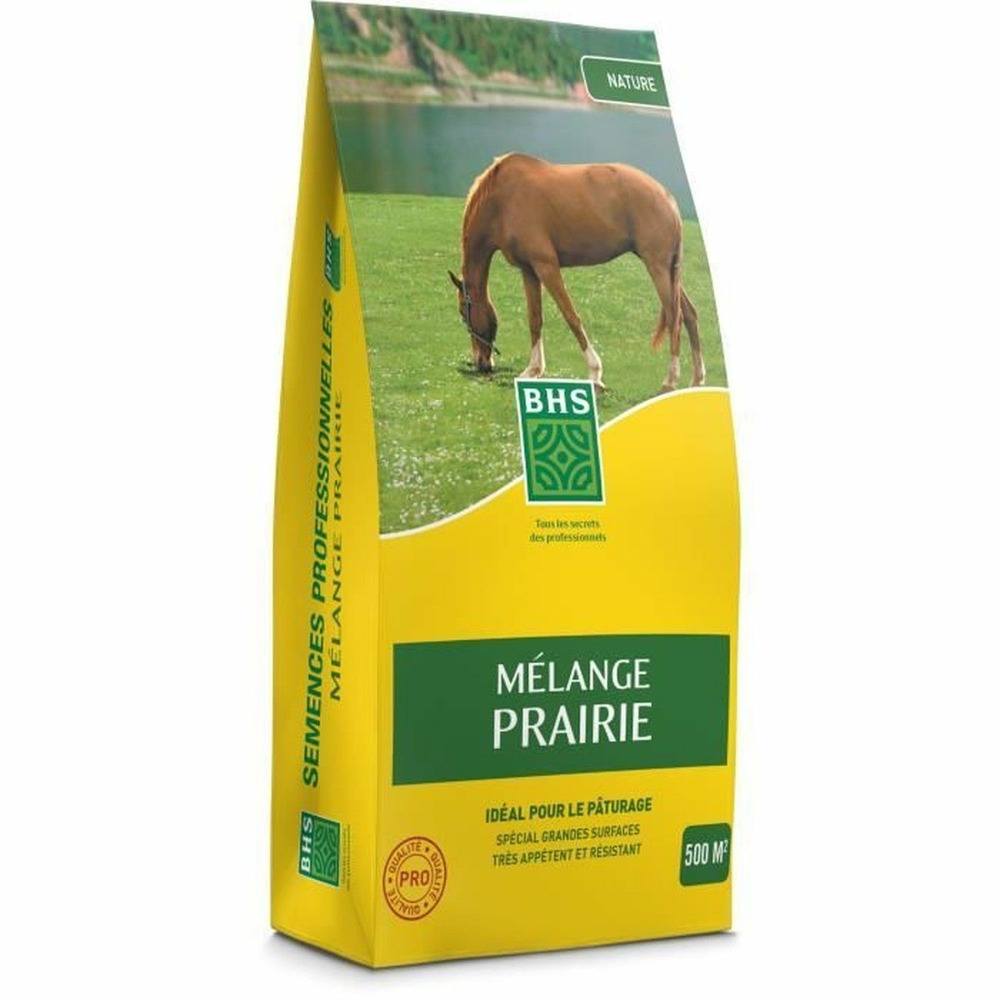 Gazon mélange prairie 5 kg 500 m² pour zones extensives et pâturage