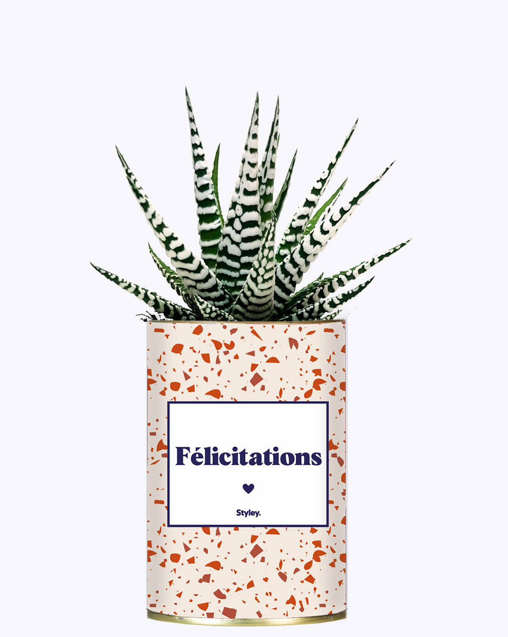 Plante personnalisée - félicitations - cactus