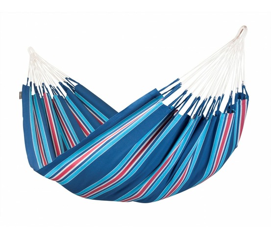 Currambera blueberry double