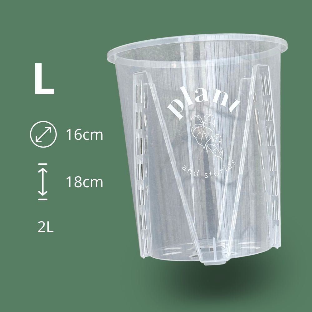 Pot aracées transparent - pot de culture transparent pour plantes - pot de 16cm - x1 unité