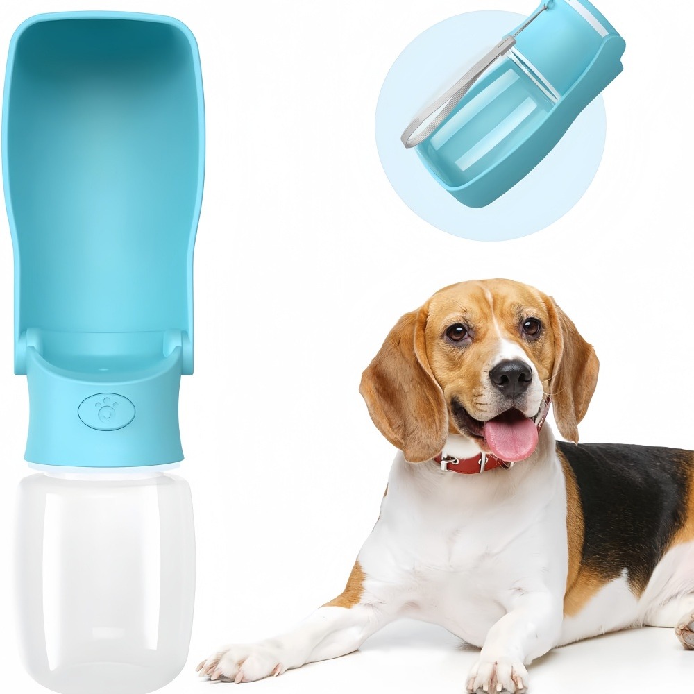Bouteille d'eau pratique pour chats et chiens