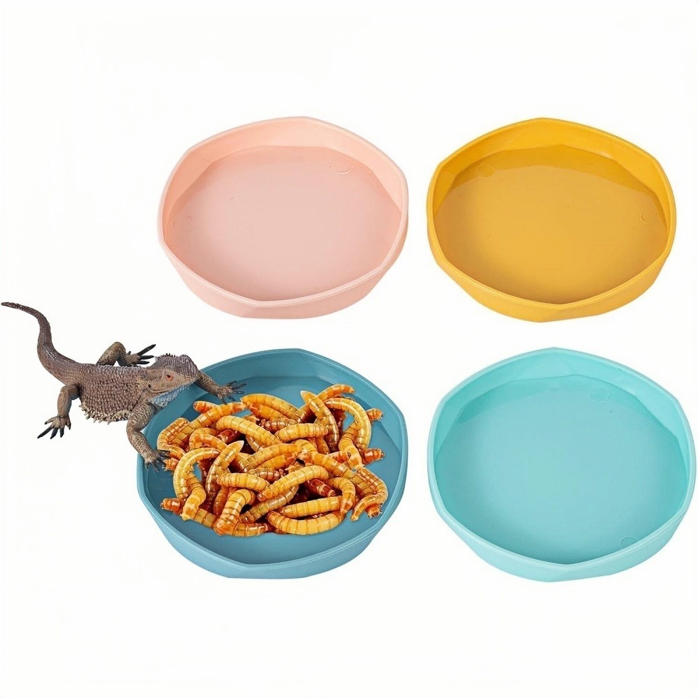 Gamelles à eau - lot de 4, motif dragon barbu, peu profond et plat, plastique