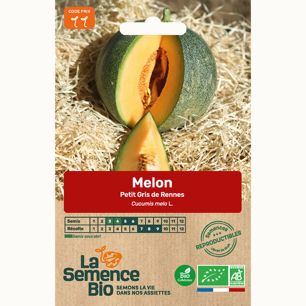 Melon petit gris de rennes - graines bio