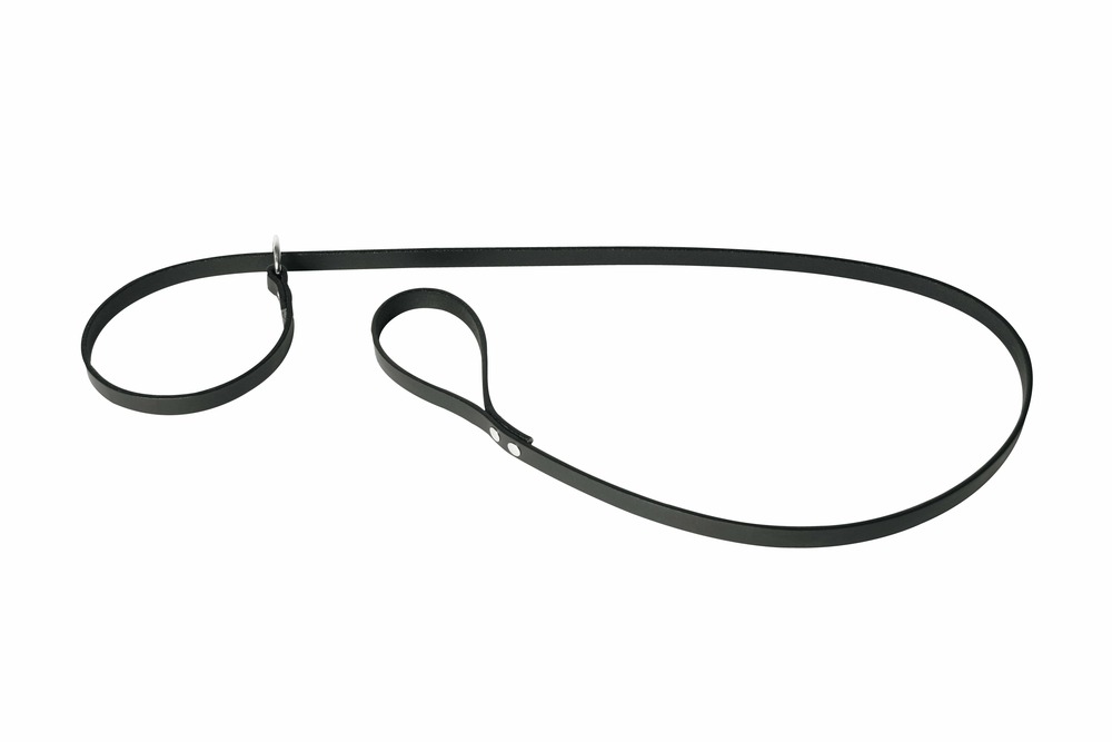 Laisse-collier pour chiens en cuir pleine fleur 2 en 1 - martin sellier -avec une taille de 1.70 m pour une promenade élégante