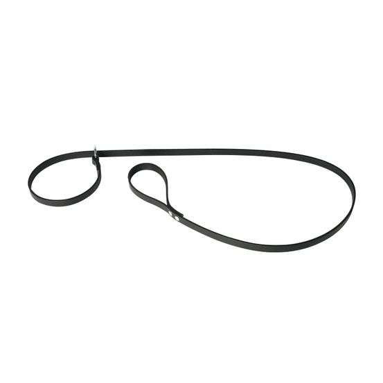 Laisse-collier pour chiens en cuir pleine fleur 2 en 1 - martin sellier -avec une taille de 1.70 m pour une promenade élégante