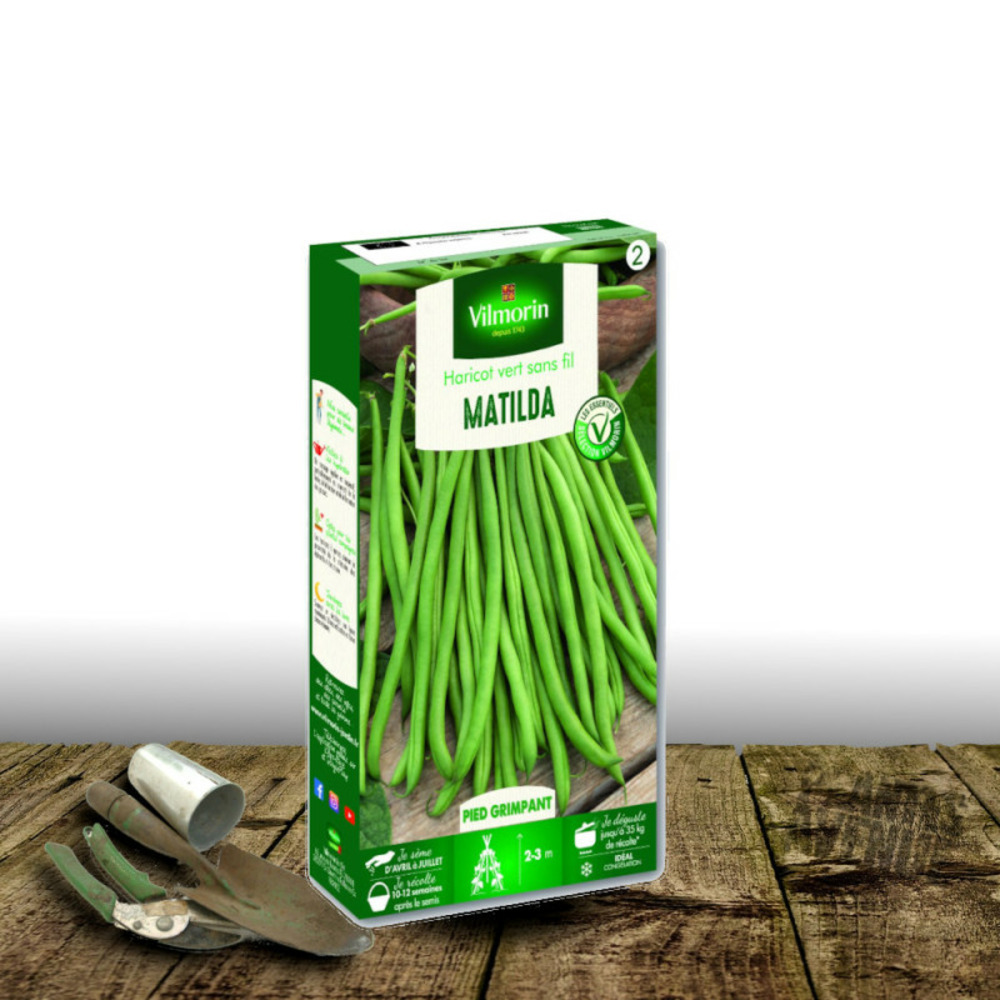 Graines de haricot grimpant matilda - vilmorin boite
