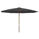 Parasol de jardin avec mât en bois noir 400x273 cm