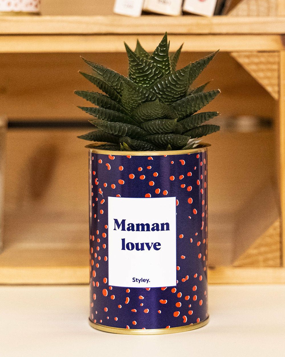 Plante à message - maman louve - cactus