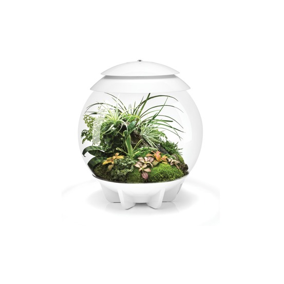 Terrarium automatisé 30l blanc - air30white
