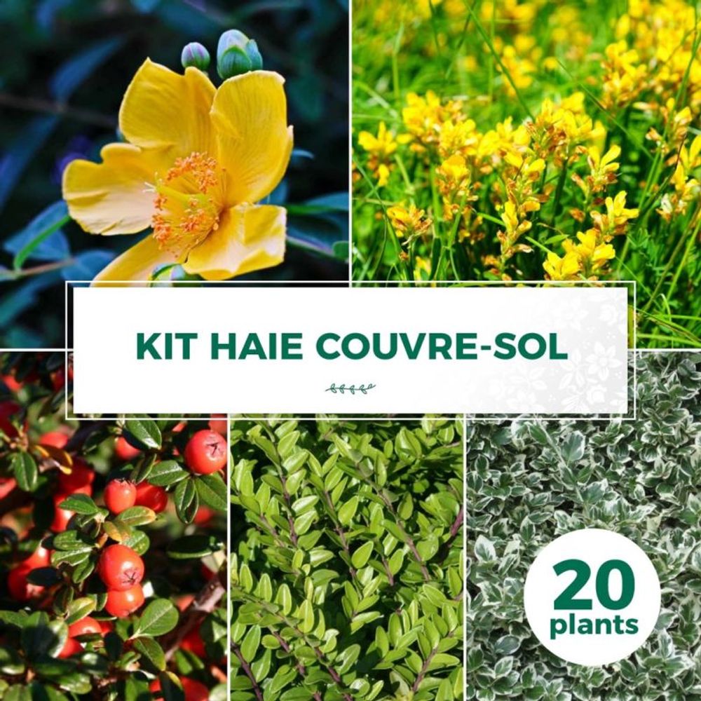 KIT HAIE COUVRE SOL 20P GF400-(766736)