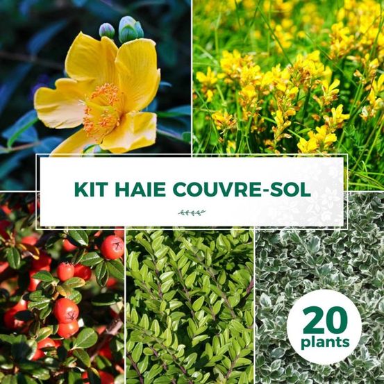 KIT HAIE COUVRE SOL 20P GF400-(766736)