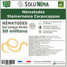 Solunema - nématodes steinernema carpocapsae - 50 millions
