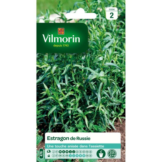 Sachet de graines estragon de russie