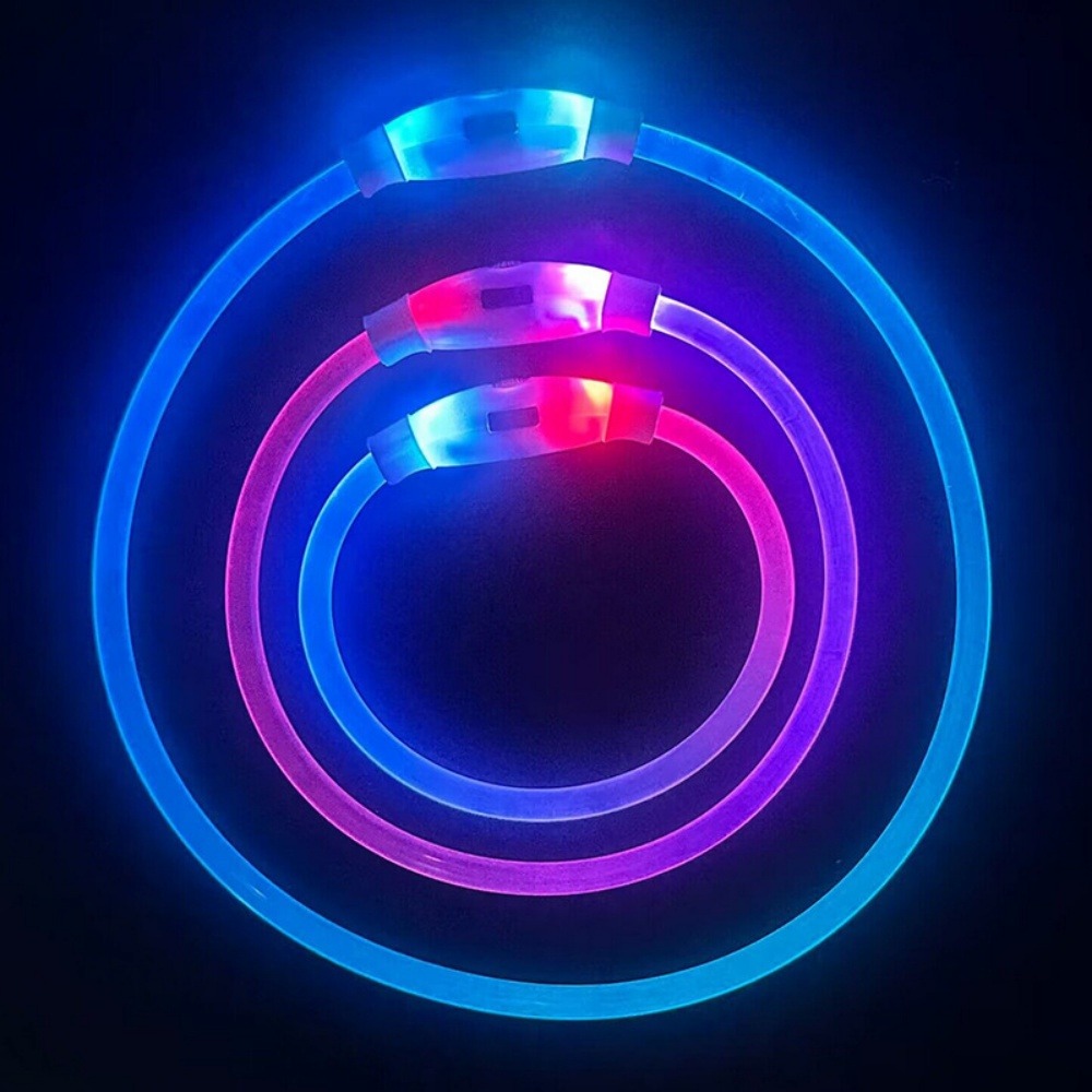 Collier lumineux rechargeable pour chien taille s : 30 cm de circonférence
