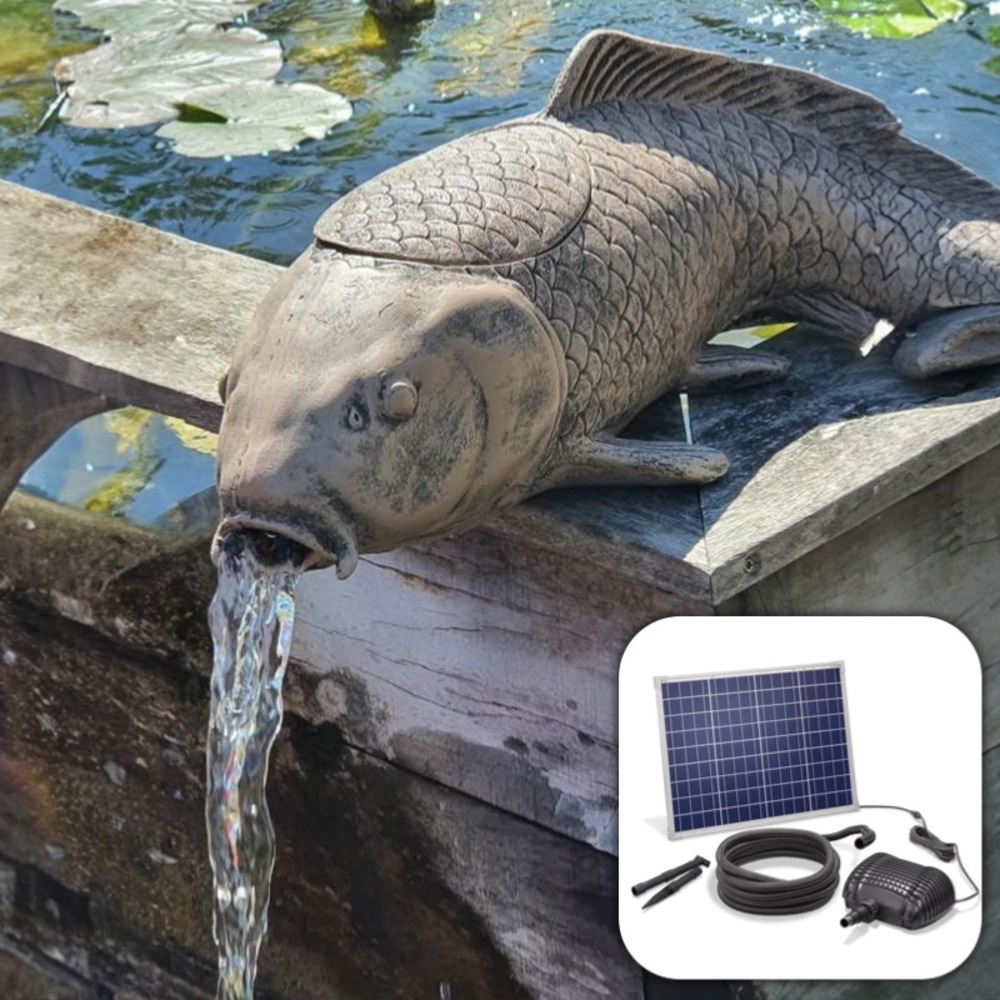 Kit fontaine solaire carpe filtrante gros débit 2500 l/h maxi