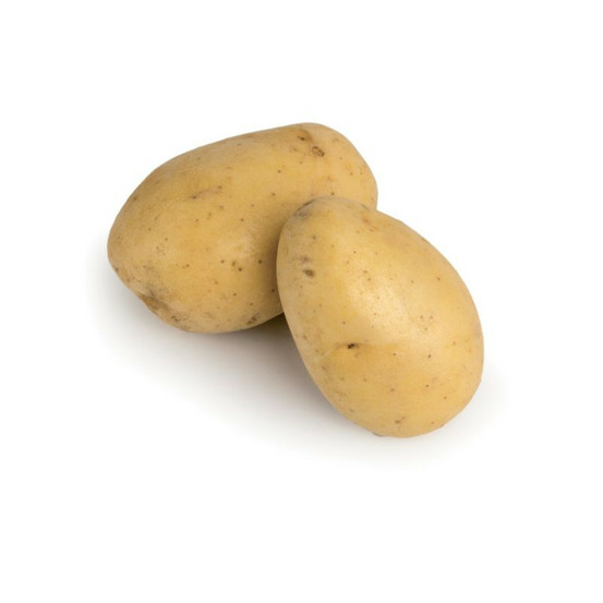 Bernadette 100 plants de pomme de terre