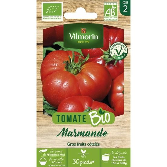 Tomate marmande - bio