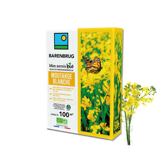 Barenbrug - moutarde blanche - améliore disponibilité éléments nutritifs et restitue aux futures cultures - désinfecte sol - 500g