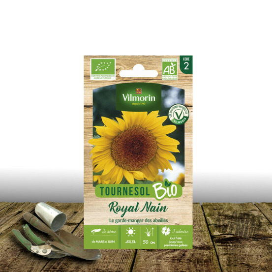 Graines de tournesol royal nain - sans traitement - vilmorin sachet