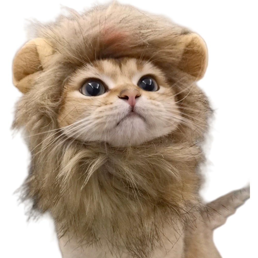 Coiffe de chapeau de lion mignon pour chiens et chats