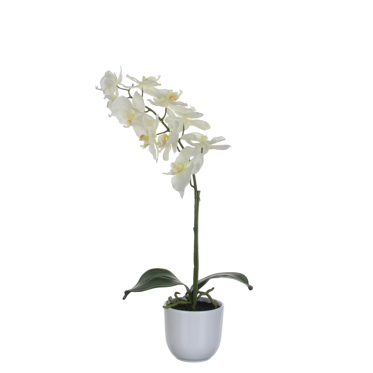 Mica decorations - orchidée artificielle blanche en pot h60