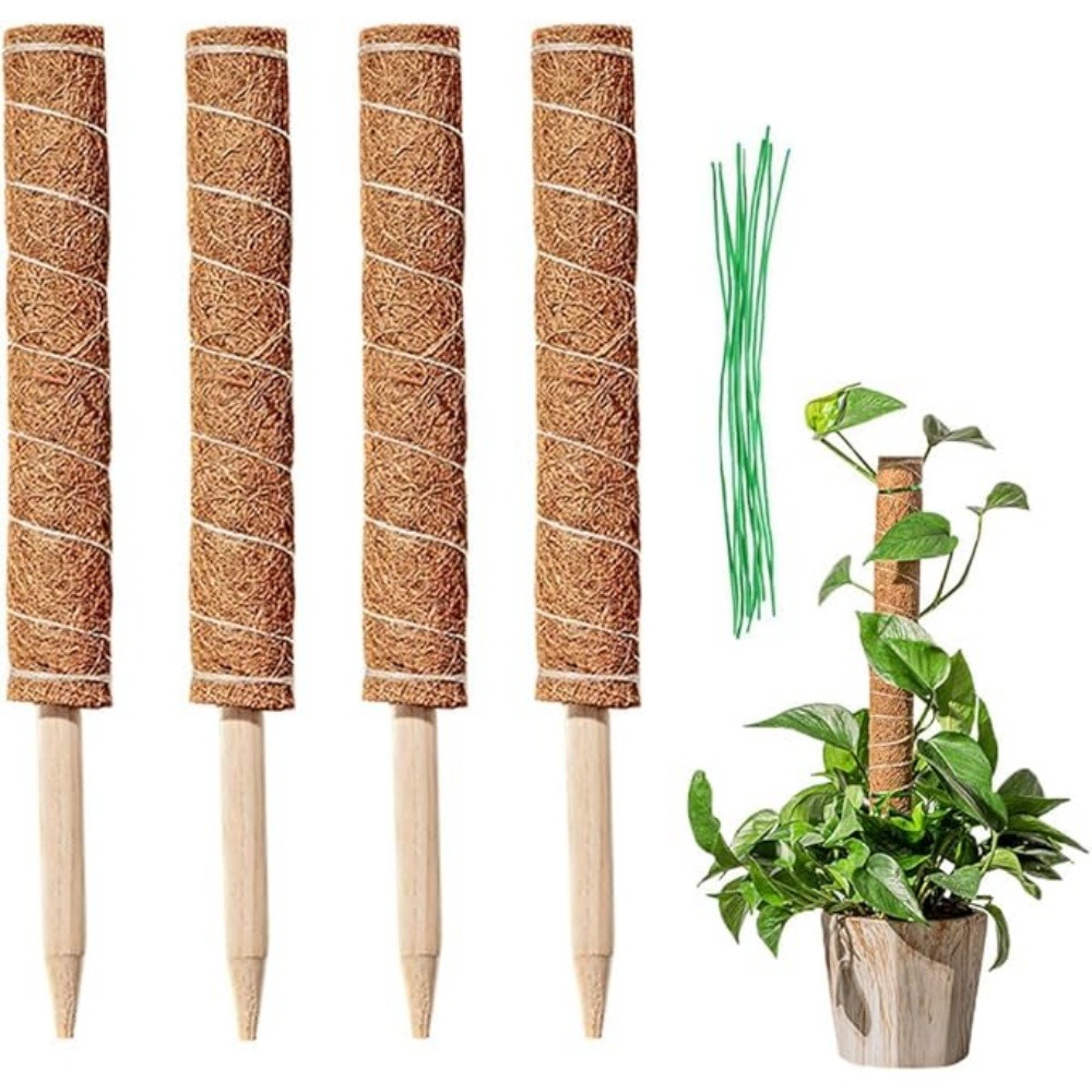 Lot de 4 tuteurs en coco pour plantes