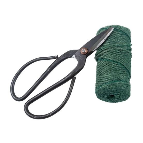 Ensemble d'attache de plantes de jardin