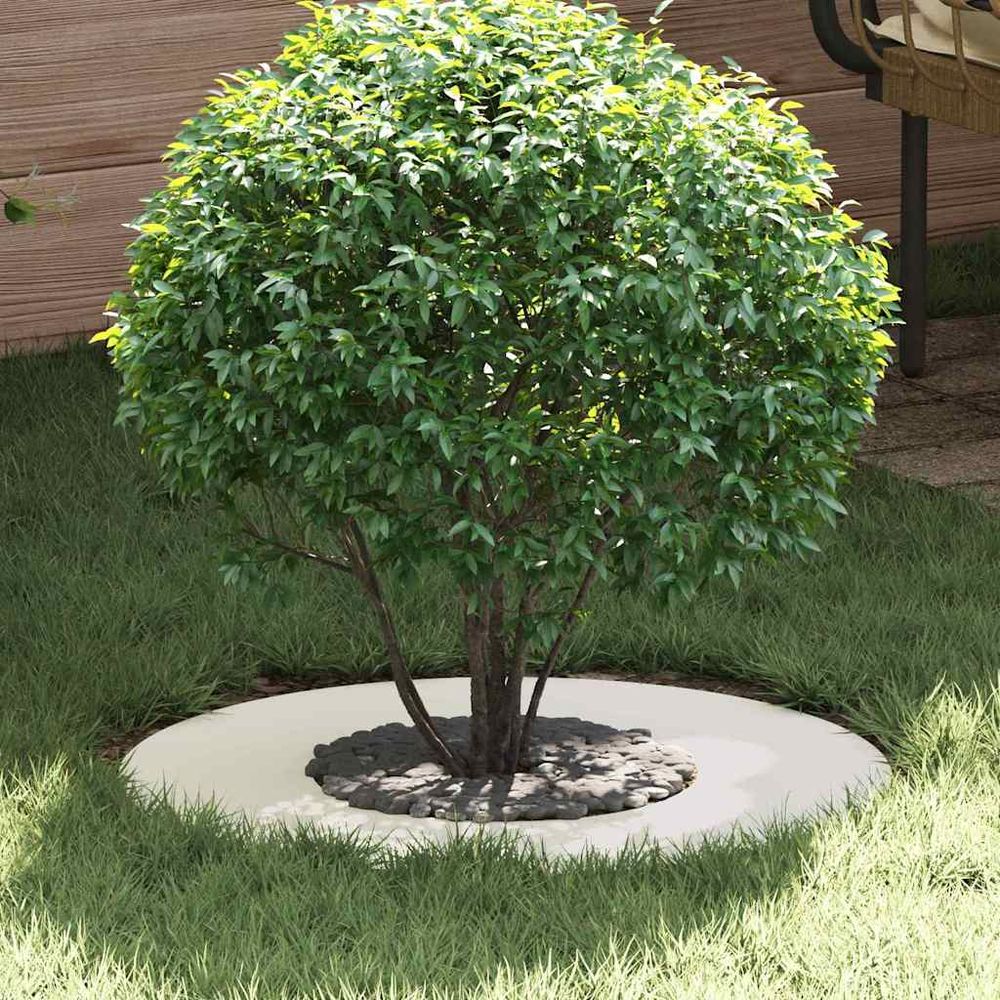 Entourage d'arbre plat en acier pour jardin protection racines et parterre ø60 cm blanc