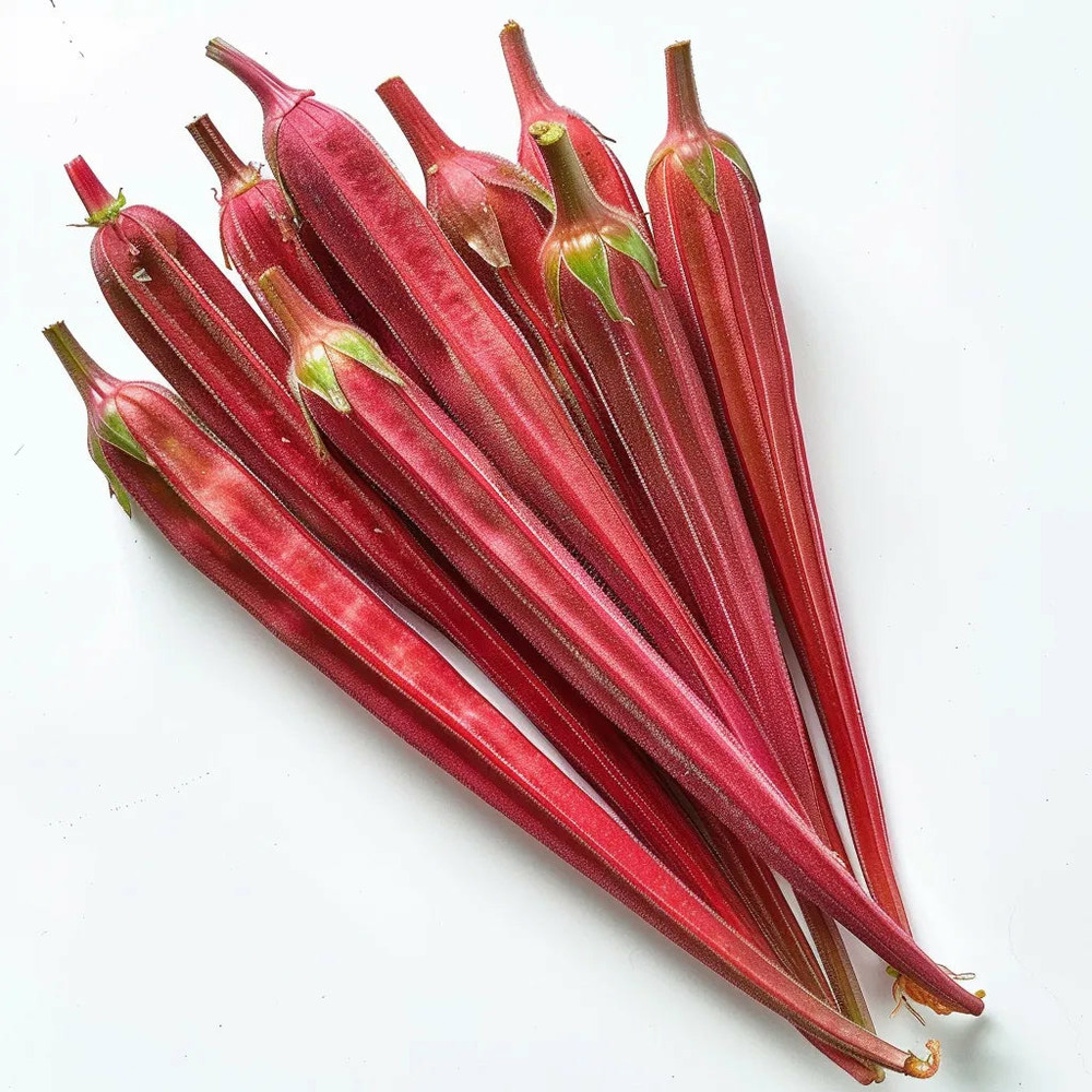 25 graines de gombo rouge - semisauvage permaculture