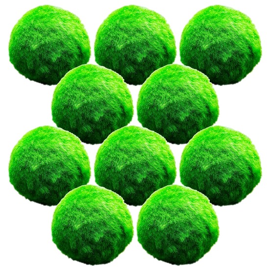 Marimo marimo pièces de 5 cm - bassins et aquariums