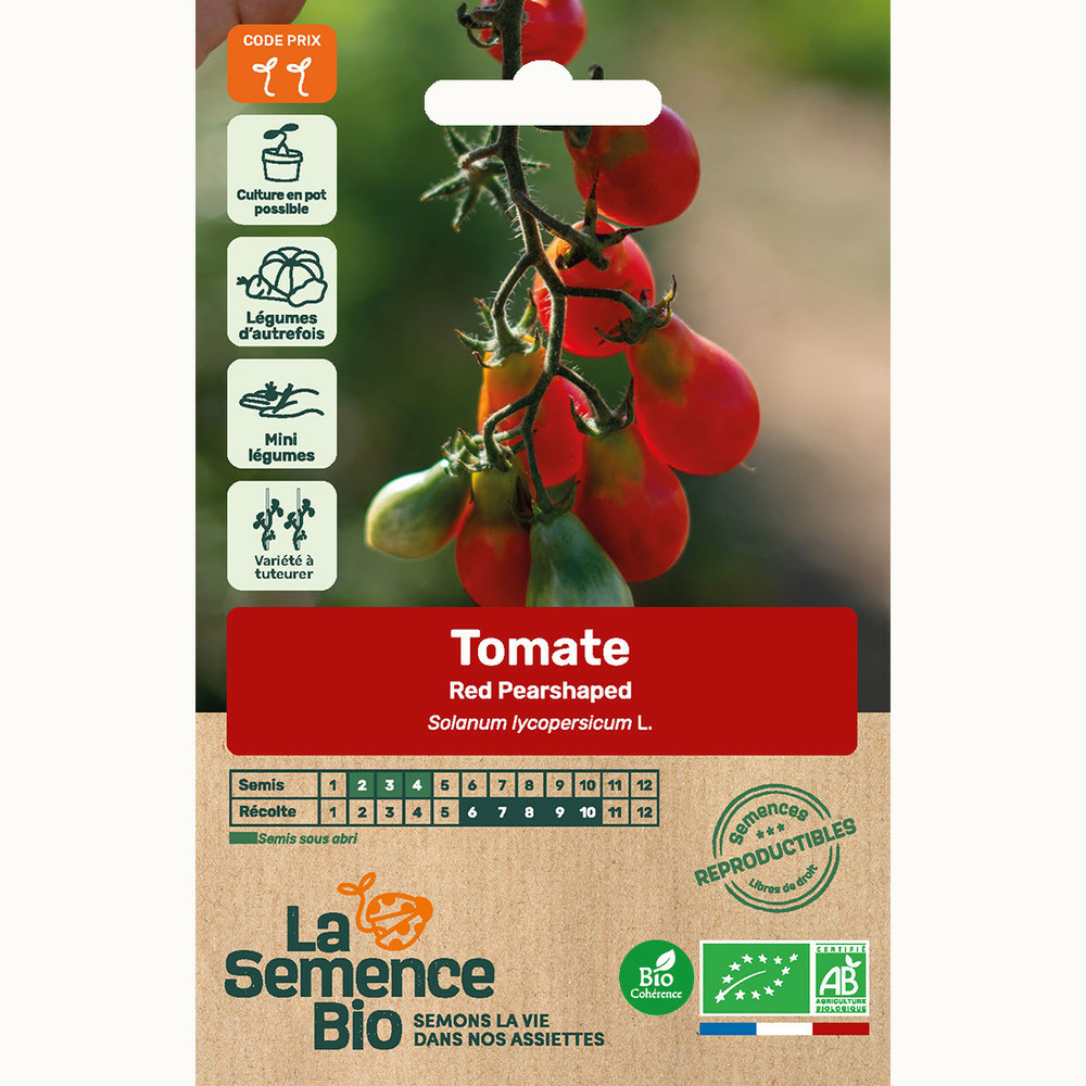 Tomate red pearshaped - graines bio