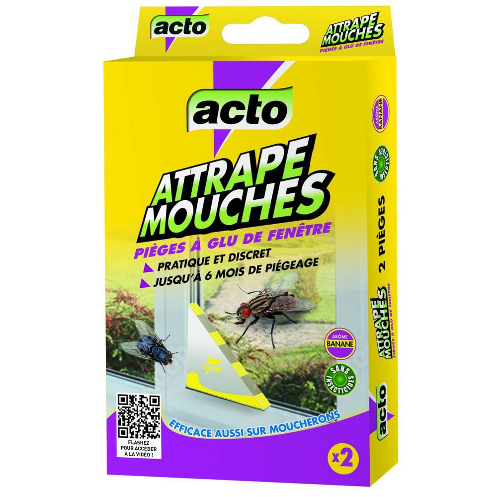 Guyode 40 Pièces Piege a Mouche Conception Transparente Attrape Guyode 40 Pièces Piege a Mouche Conception Transparente Attrape