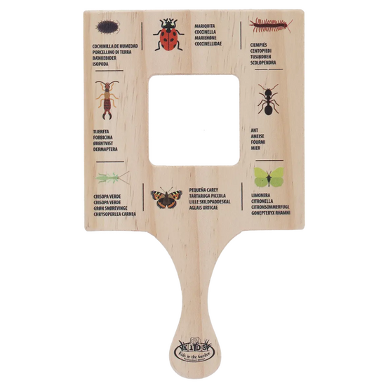 Cadre explorateur - insectes