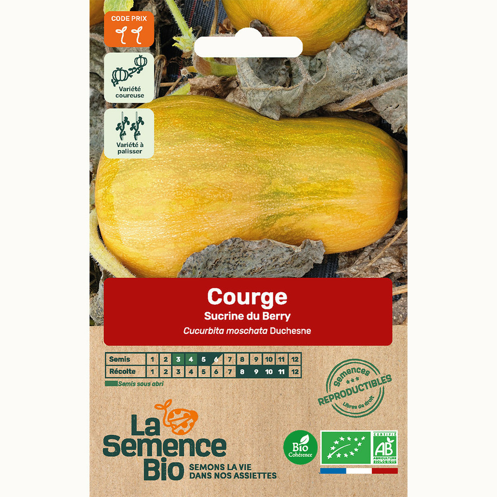 Courge sucrine du berry - graines bio
