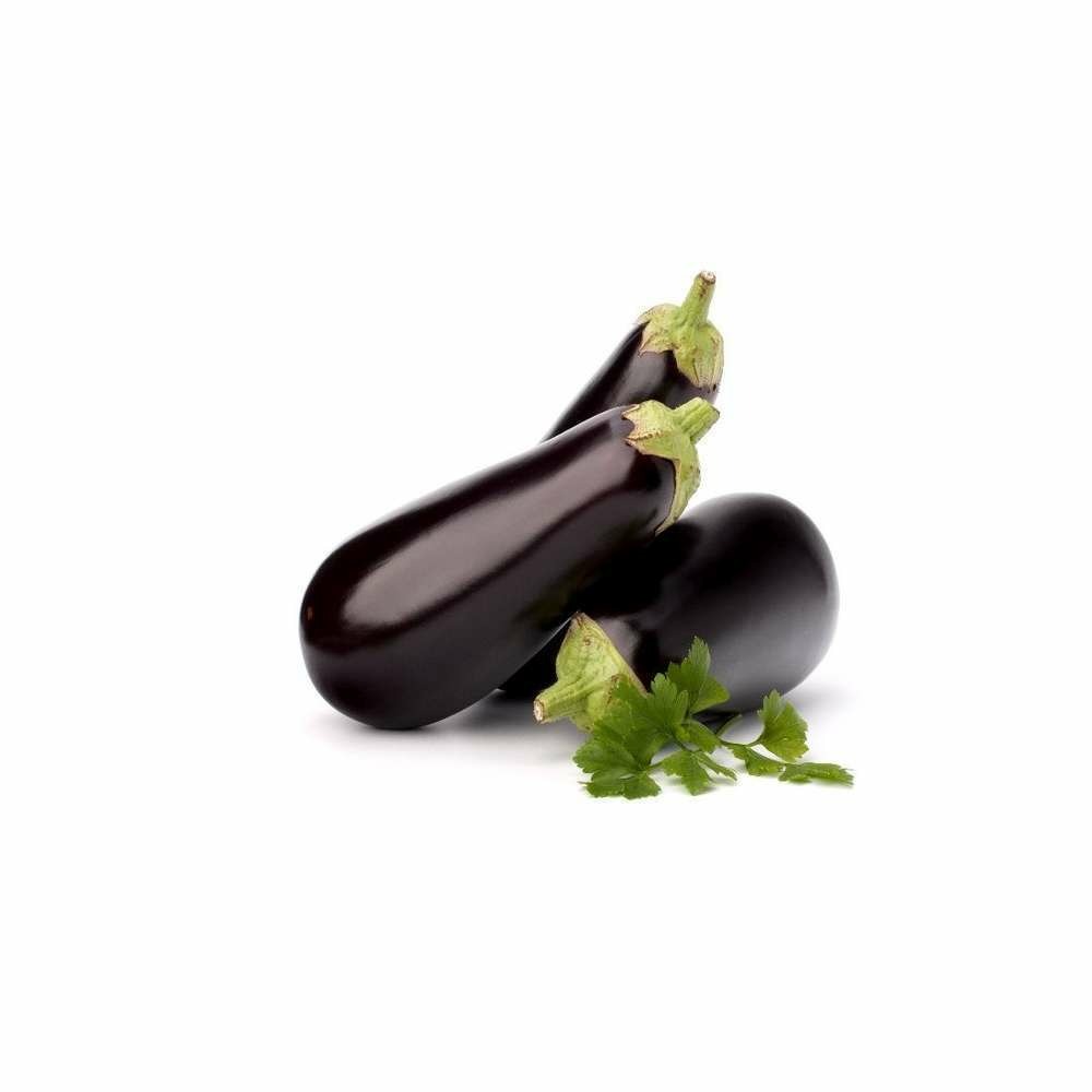 Aubergine Black Beauty