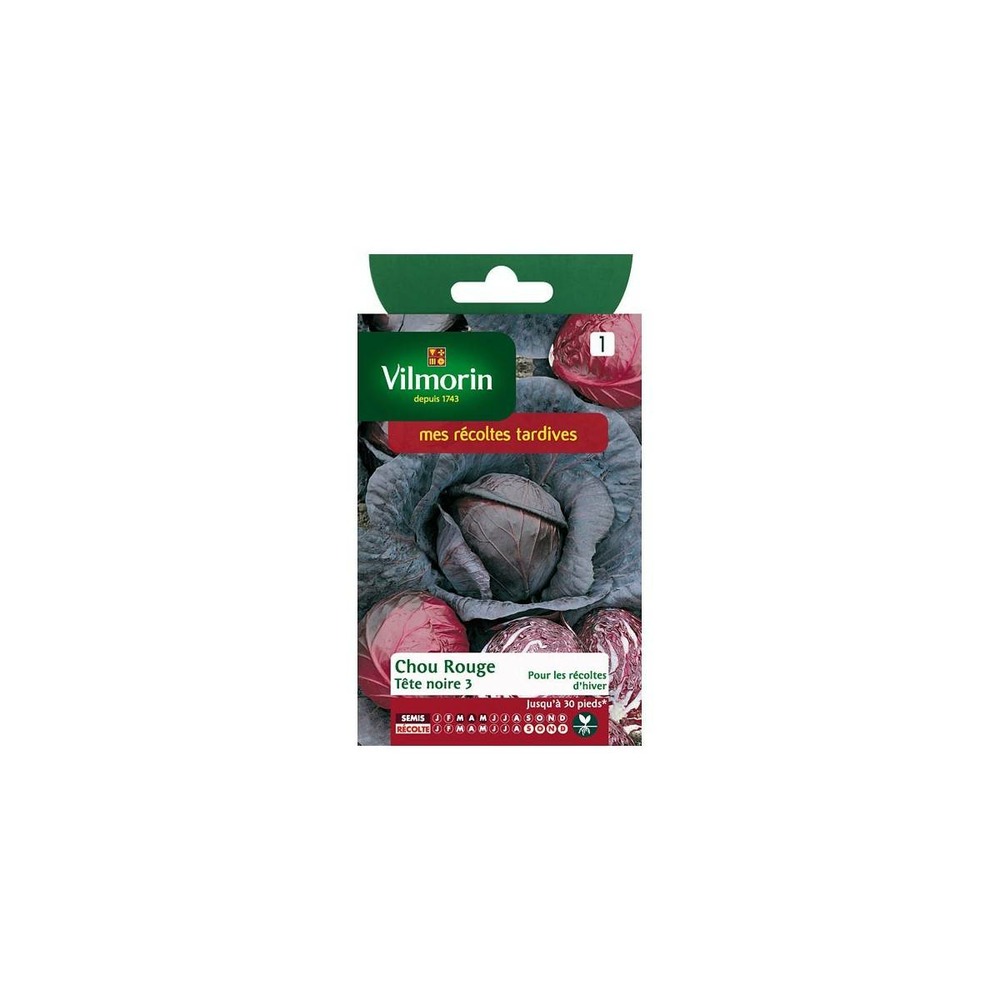 Sachet graines chou rouge tete noire 3