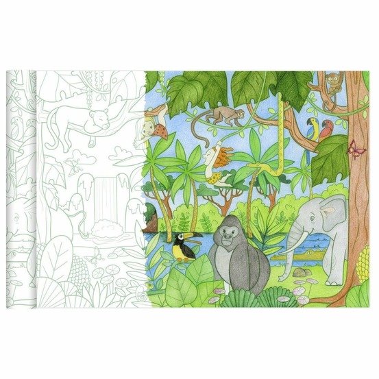 Graffy roll affiches à colorier : la jungle