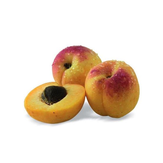 Abricotier nain petit' abri® - nains de jardin® pot de 4.5l - 30/60 cm