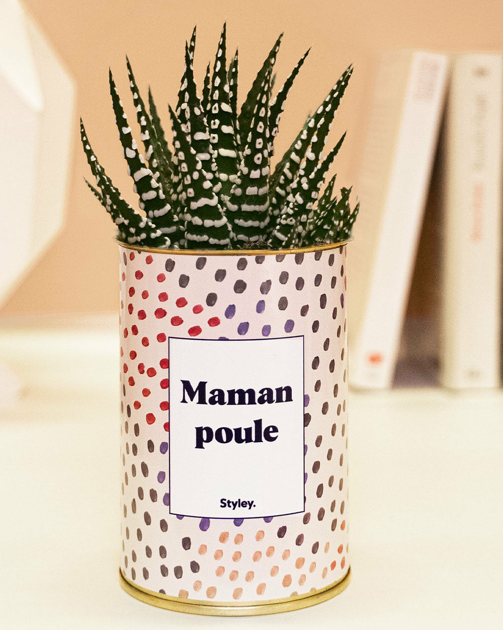 Plante facile à entretenir - maman poule - cactus
