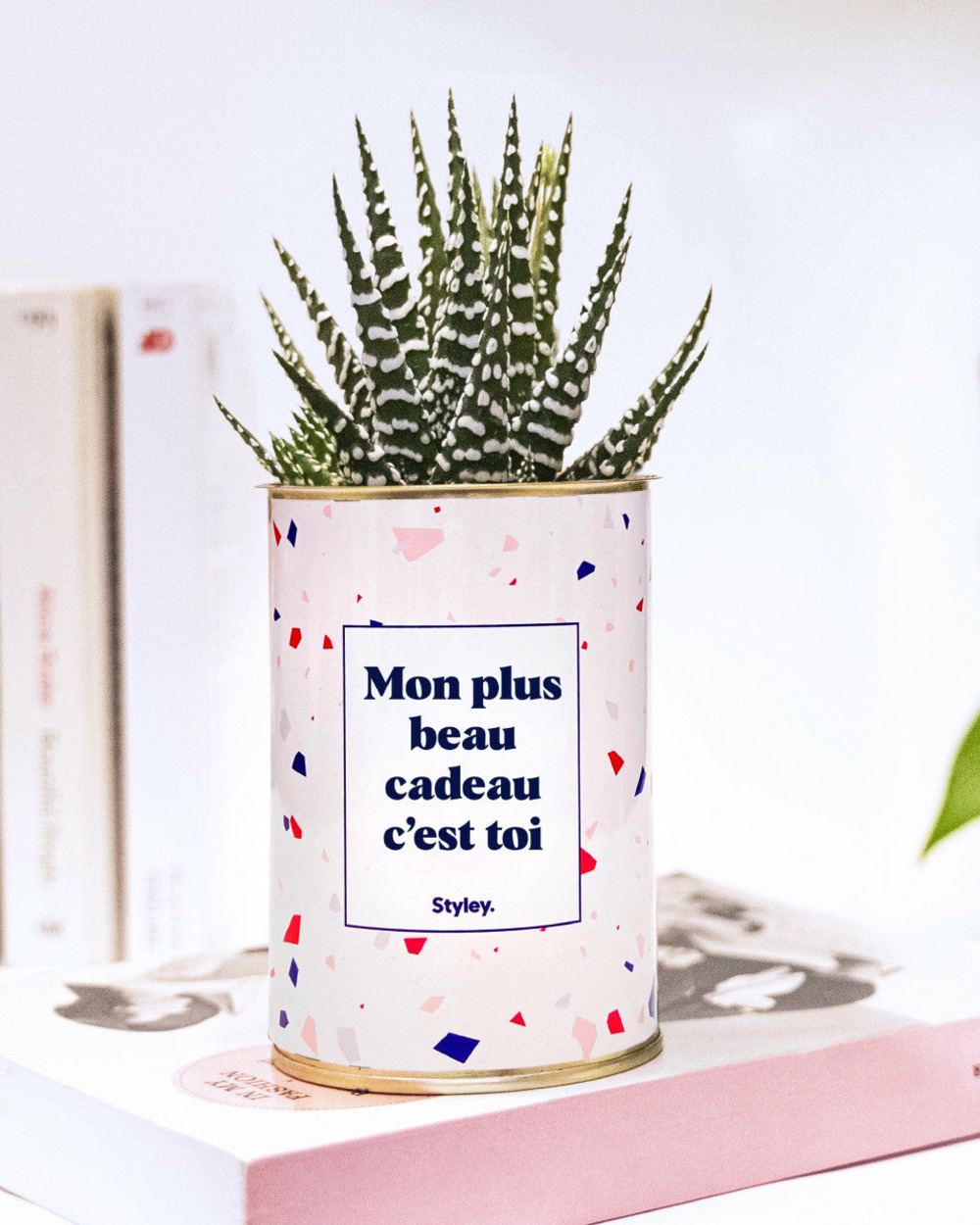 Plante à message - mon plus beau cadeau c'est toi - cactus