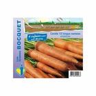 Graines de carotte nantaise en ruban à semer bocquet