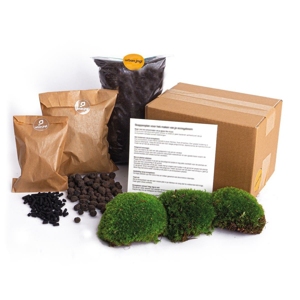 Kit rempotage plantes pour terrarium sans plante -