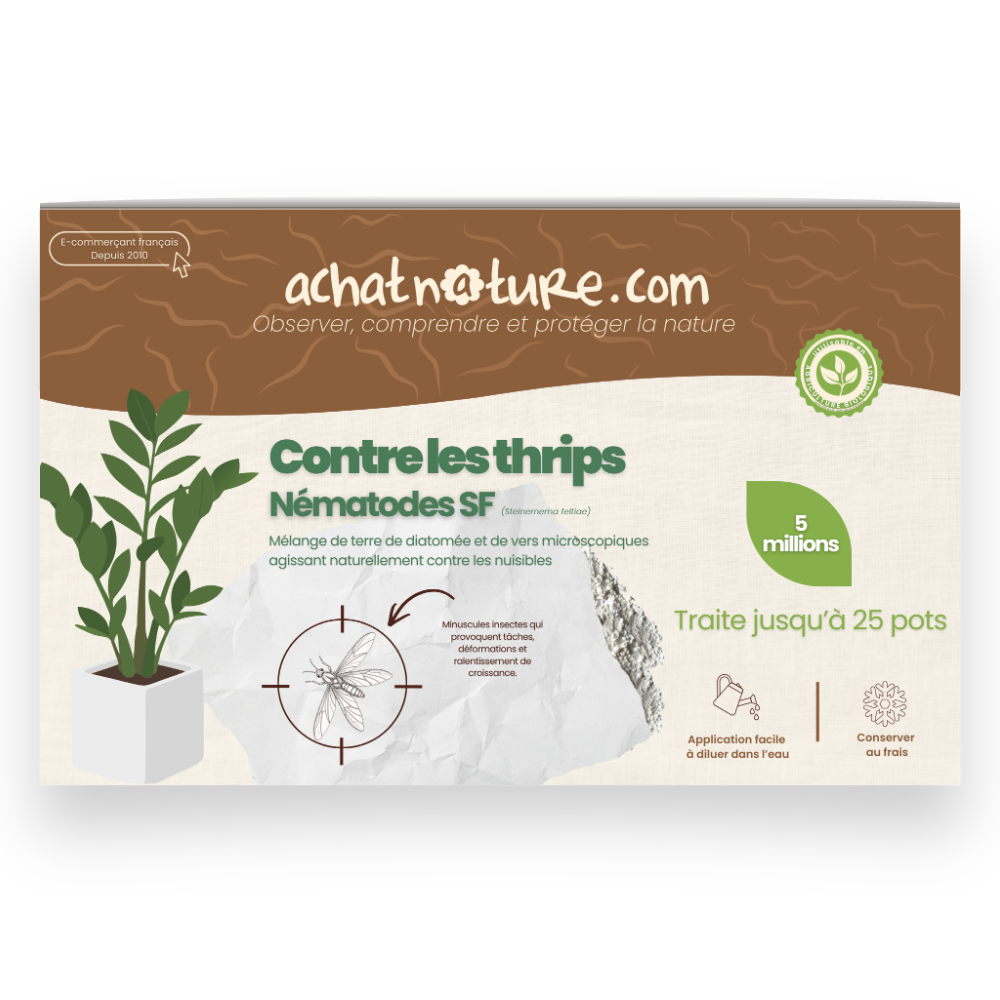 Nématodes sf contre thrips - 5 millions - 25 pots