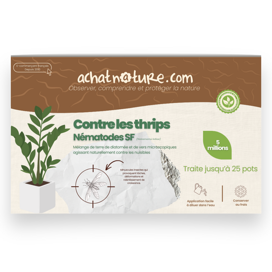 Nématodes sf contre thrips - 5 millions - 25 pots