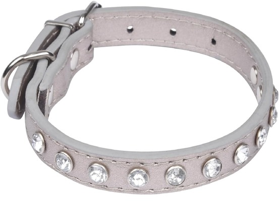 Collier chien strass